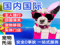 尧都航空托运国际宠物托运 【国